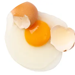 Egg