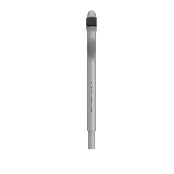 Main Body