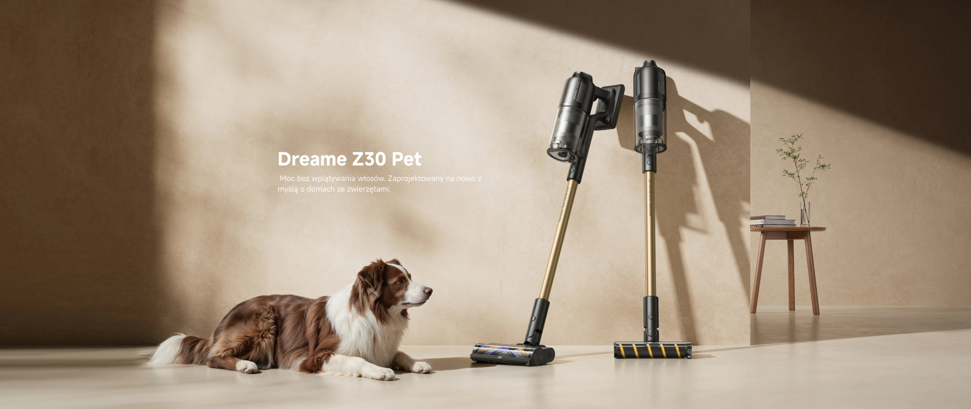 files/z30-pet-kv.webp 